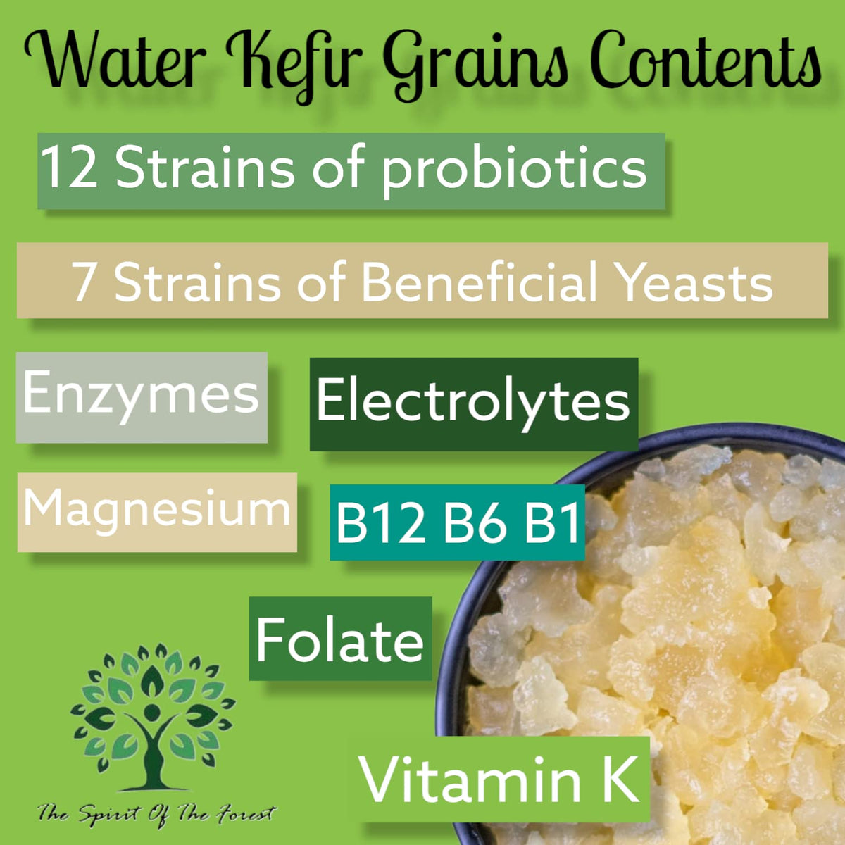 The Spirit Of The Forest kefir grains awakening after hydration for instant fermentation.