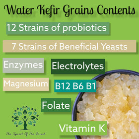 The Spirit Of The Forest kefir grains awakening after hydration for instant fermentation.