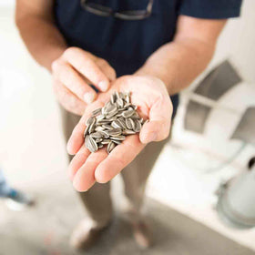 Spitz seeds roasted in a small batch for consistent flavor