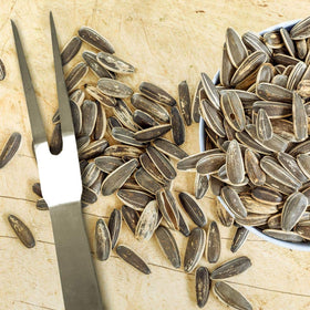 Spitz Sunflower Seeds Salted label detail shows careful sourcing.