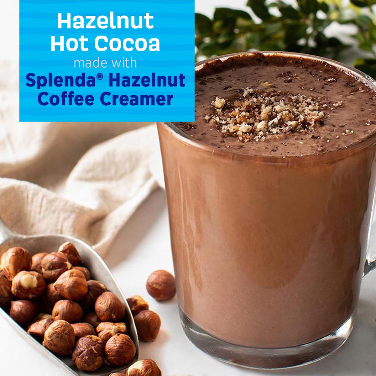 Six-pack SPLENDA Hazelnut sugar-free creamer for households and offices.