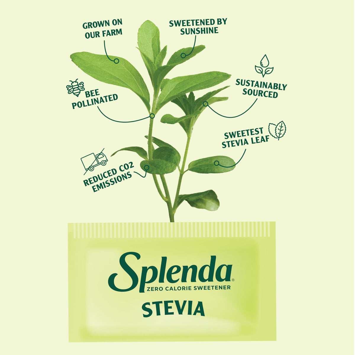 SPLENDA Stevia Liquid Drops bottle pour for precise, quick sweetening of coffee