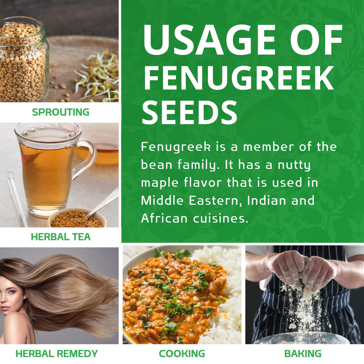 Jiva Organics fenugreek seeds sprouting for salads and greens.