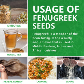 Jiva Organics fenugreek seeds sprouting for salads and greens.