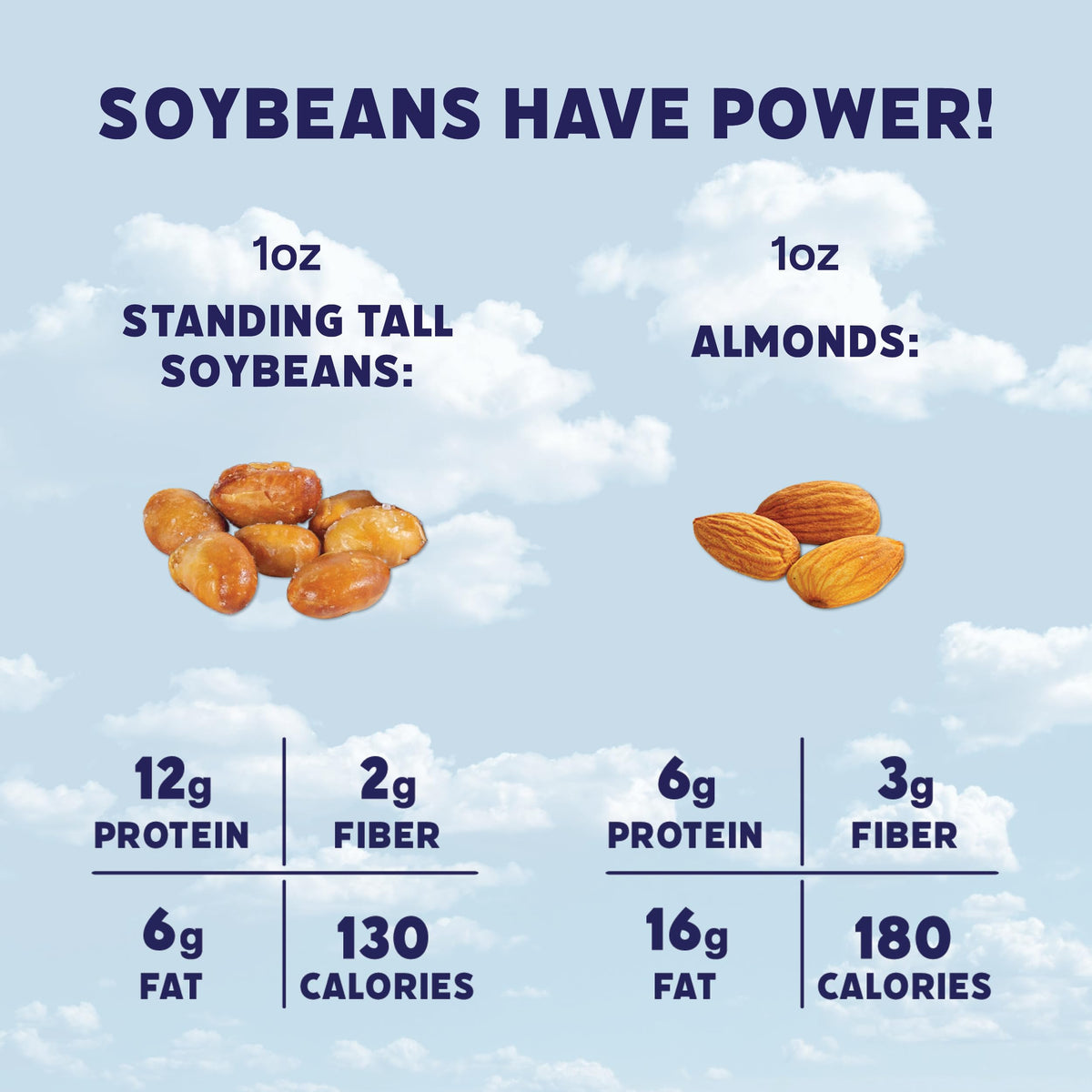 Standing Tall Sea Salt roasted soybean snack with crisp texture for quick nourishment.