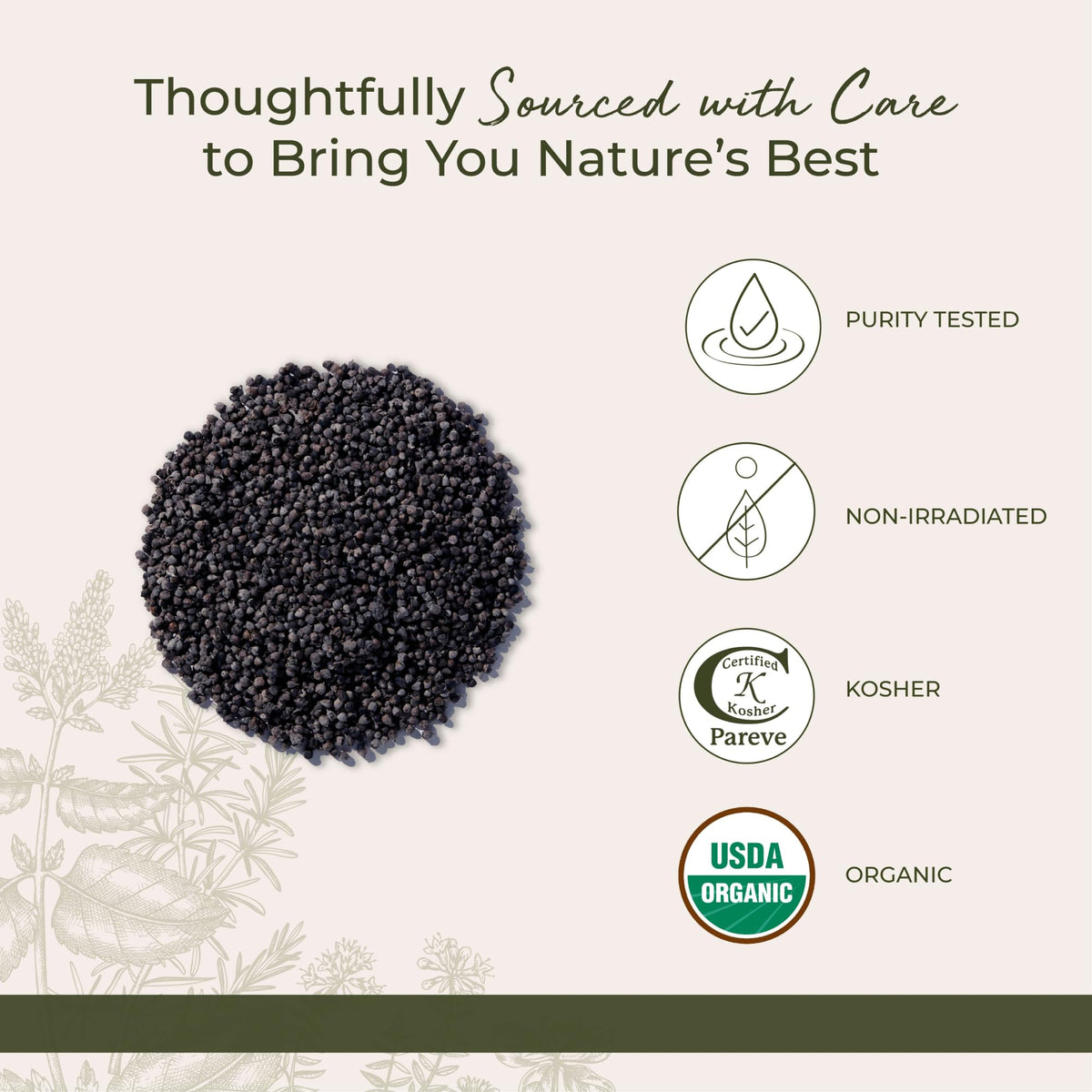 Starwest Botanicals Croatia-origin berries display for premium herbal ingredients