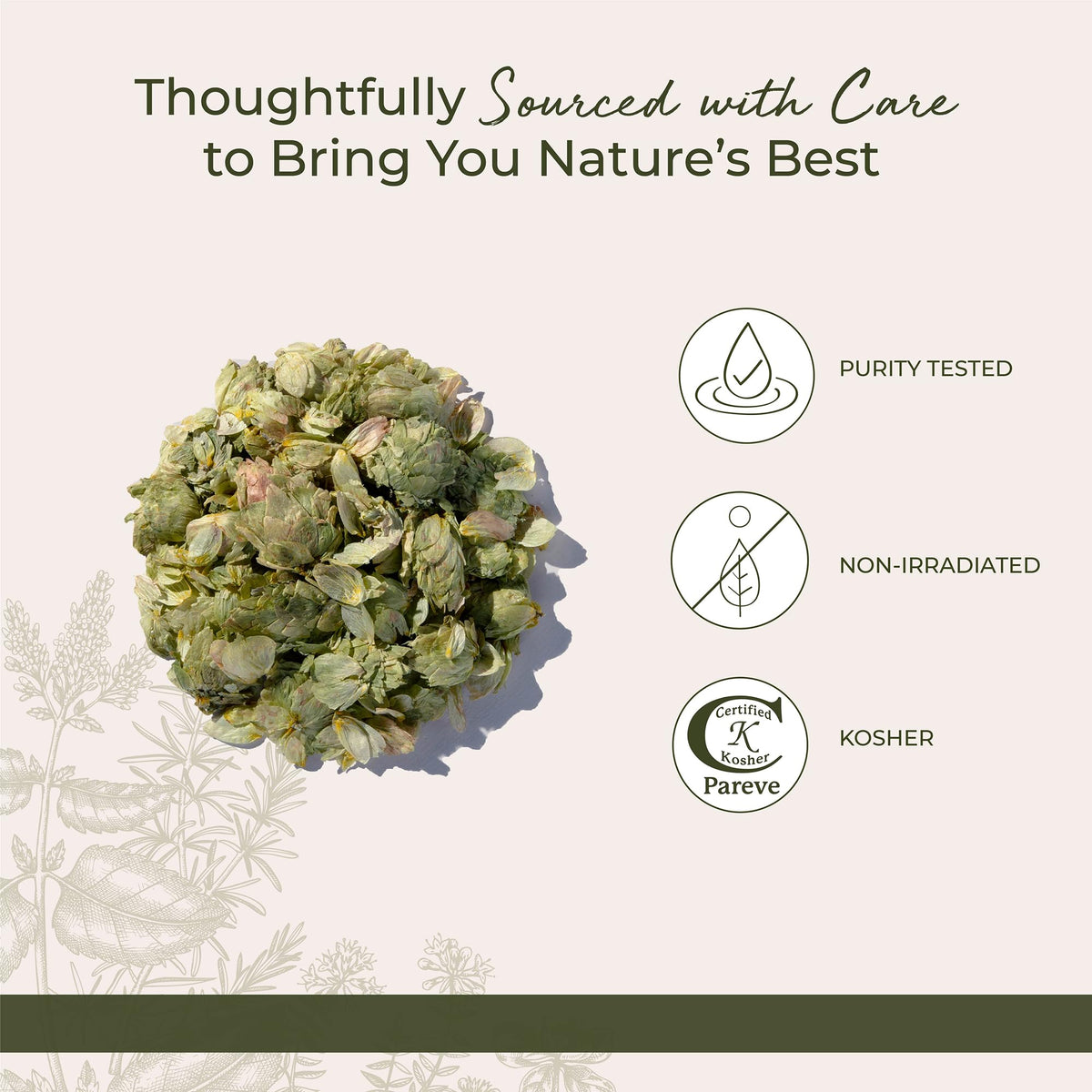 Starwest Botanicals hops flowers add nuanced flavor to sauces and desserts