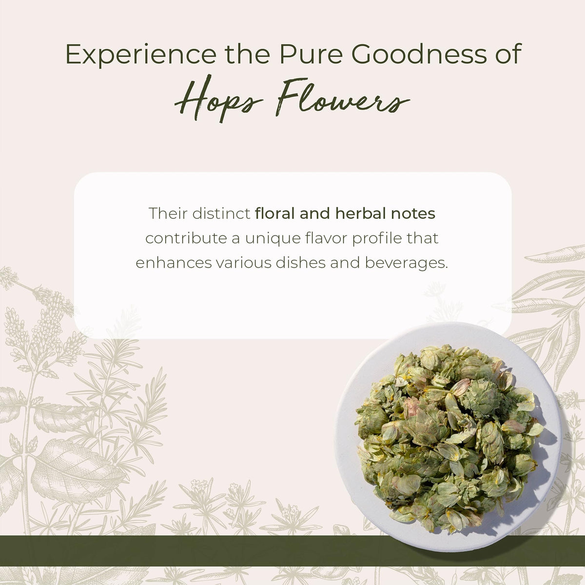 Starwest Botanicals hops flowers loose buds in bowl for tea