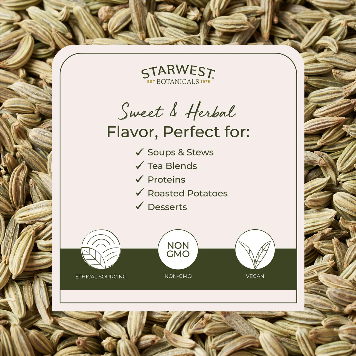 Aroma rich fennel seed closeup showing seeds and texture.