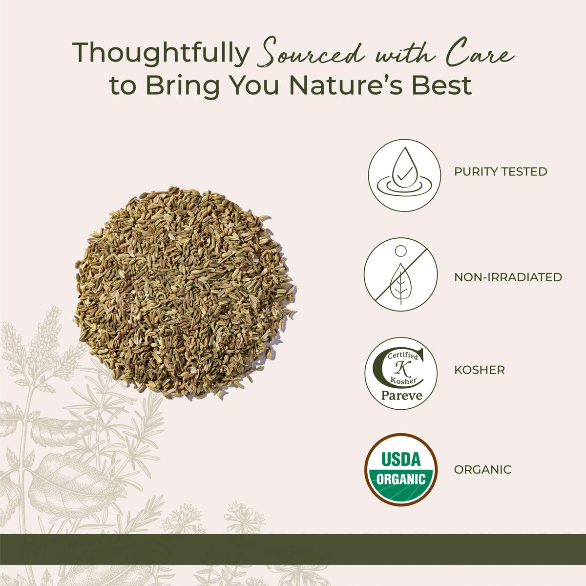 Fennel seed used in tea brew to add a gentle licorice note.