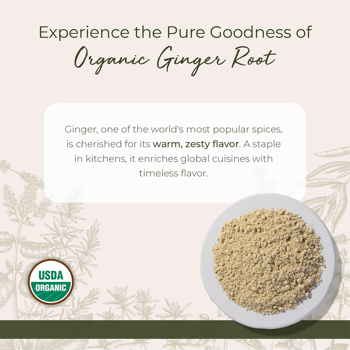 Starwest Botanicals Ginger Powder on a spoon for precise seasoning in recipes.