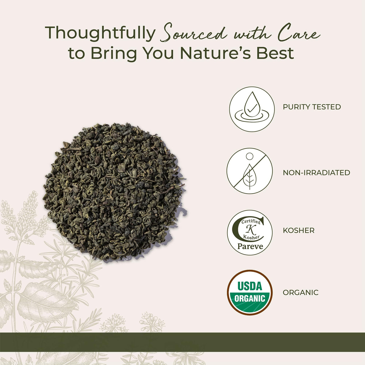 Starwest Botanicals Gunpowder Green Tea bulk one-pound bag for cost-effective brewing