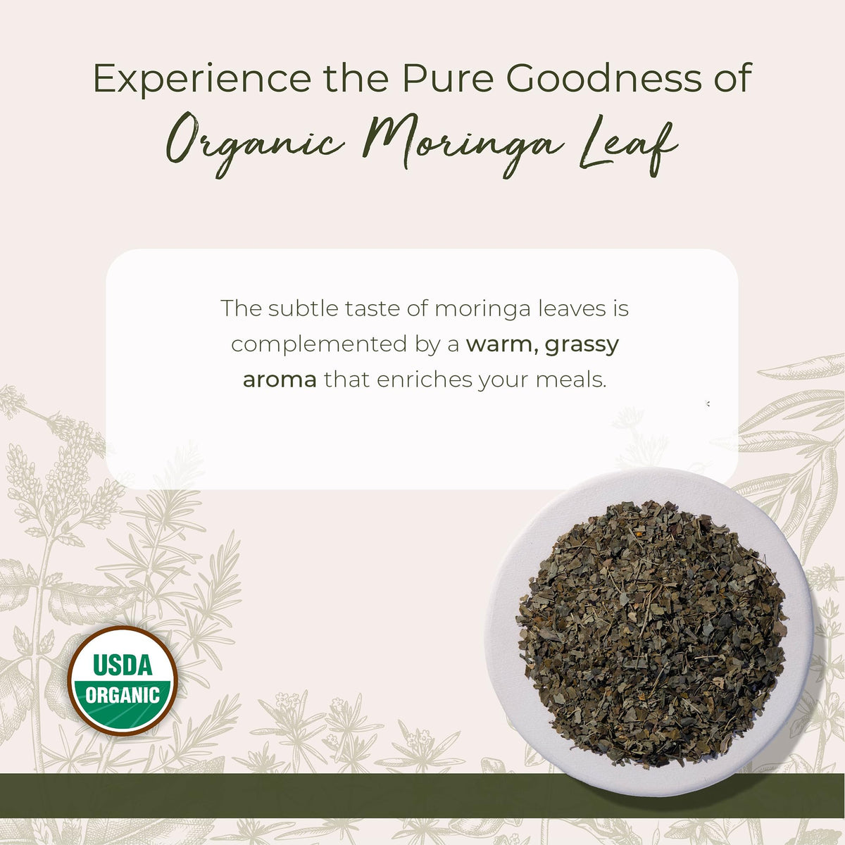 Starwest Botanicals Moringa leaf packaging in a resealable jar for everyday brewing.