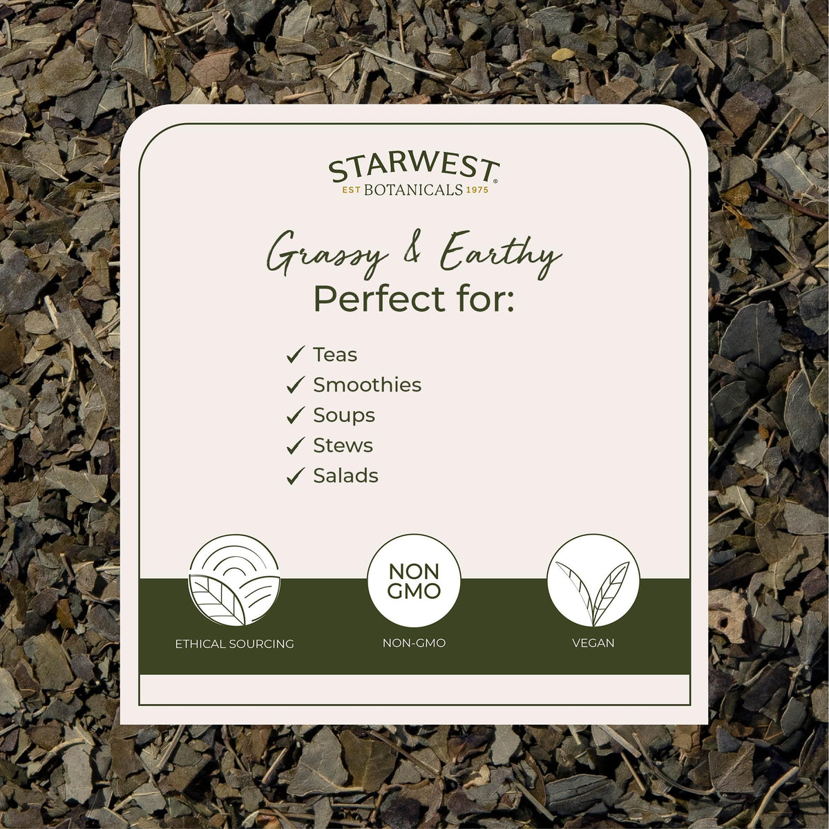 Starwest Botanicals Moringa leaf tea infusion aids flavorful, nutrient-rich beverages.