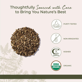 Starwest Botanicals Burdock Root C/S 1 lb loose root ideal for culinary blends