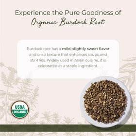 Starwest Botanicals Burdock Root C/S 1 lb loose root ready for tea and simmering