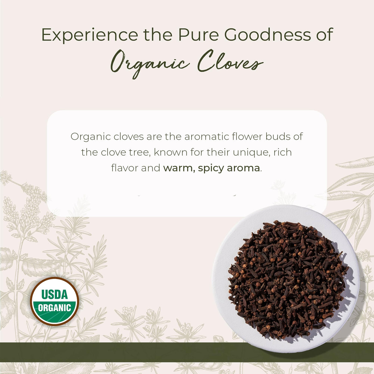 Starwest Botanicals Organic Cloves Whole pour—rich aroma enhances stews and mulled drinks
