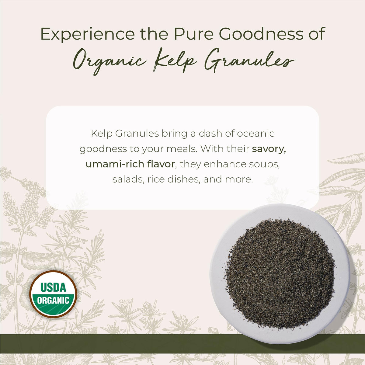 Starwest Botanicals Organic Kelp Granules dried closeup showing texture