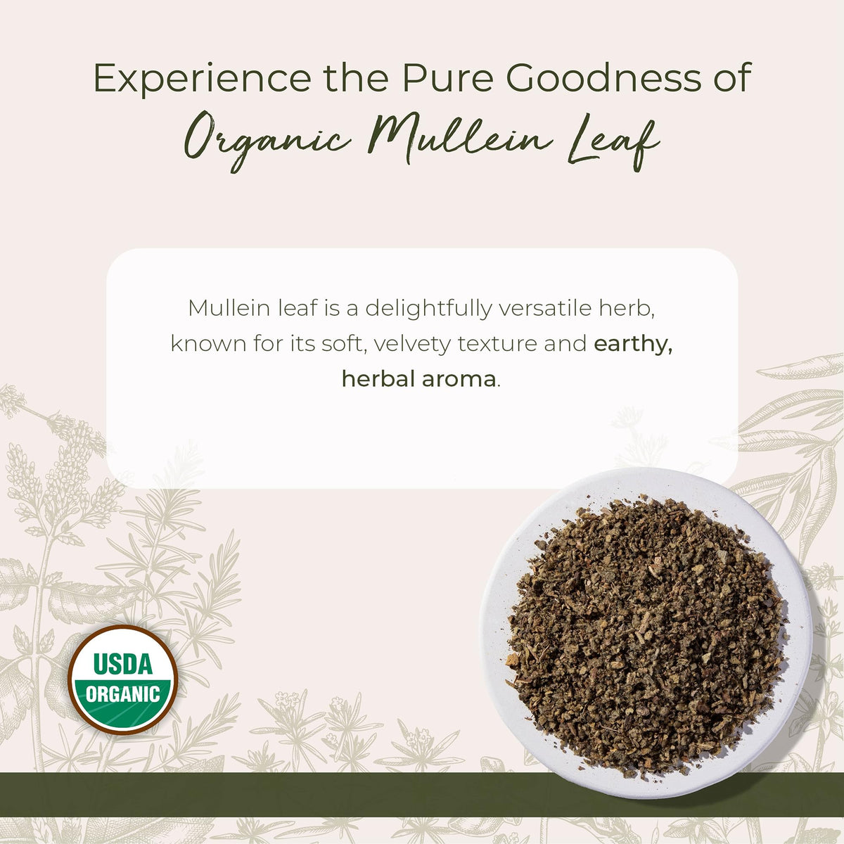 Starwest Botanicals Organic Mullein Leaf tea brew, rich aroma and color.