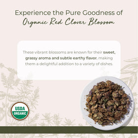 Starwest Botanicals Red Clover Blossoms in a tea cup for flavorful herbal blends