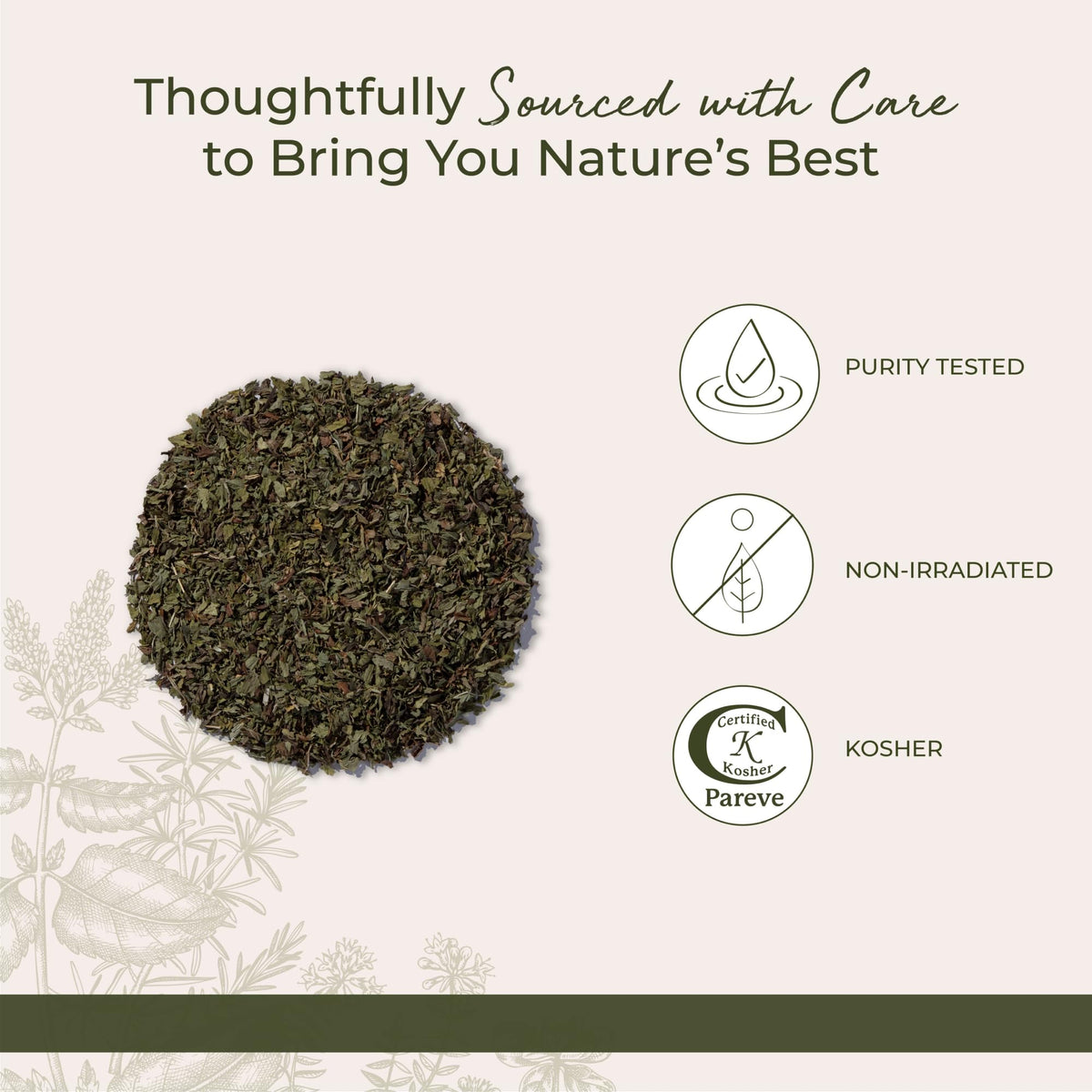 Fresh spearmint leaves aroma enhances beverages and recipes