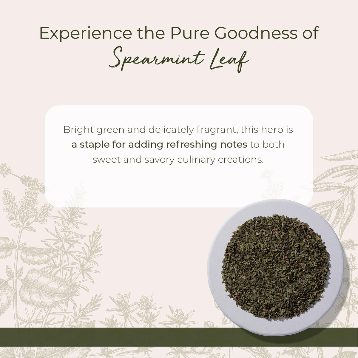 Cut and sifted spearmint leaves ready for easy brewing