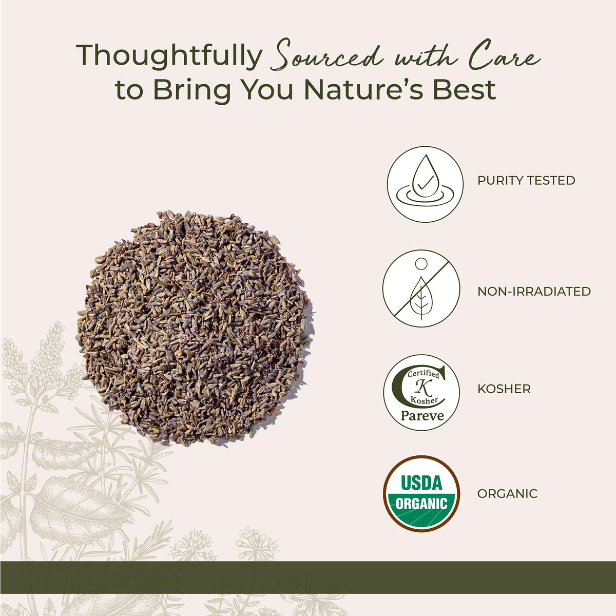 Starwest kosher-certified lavender buds suitable for cooking and flavoring.
