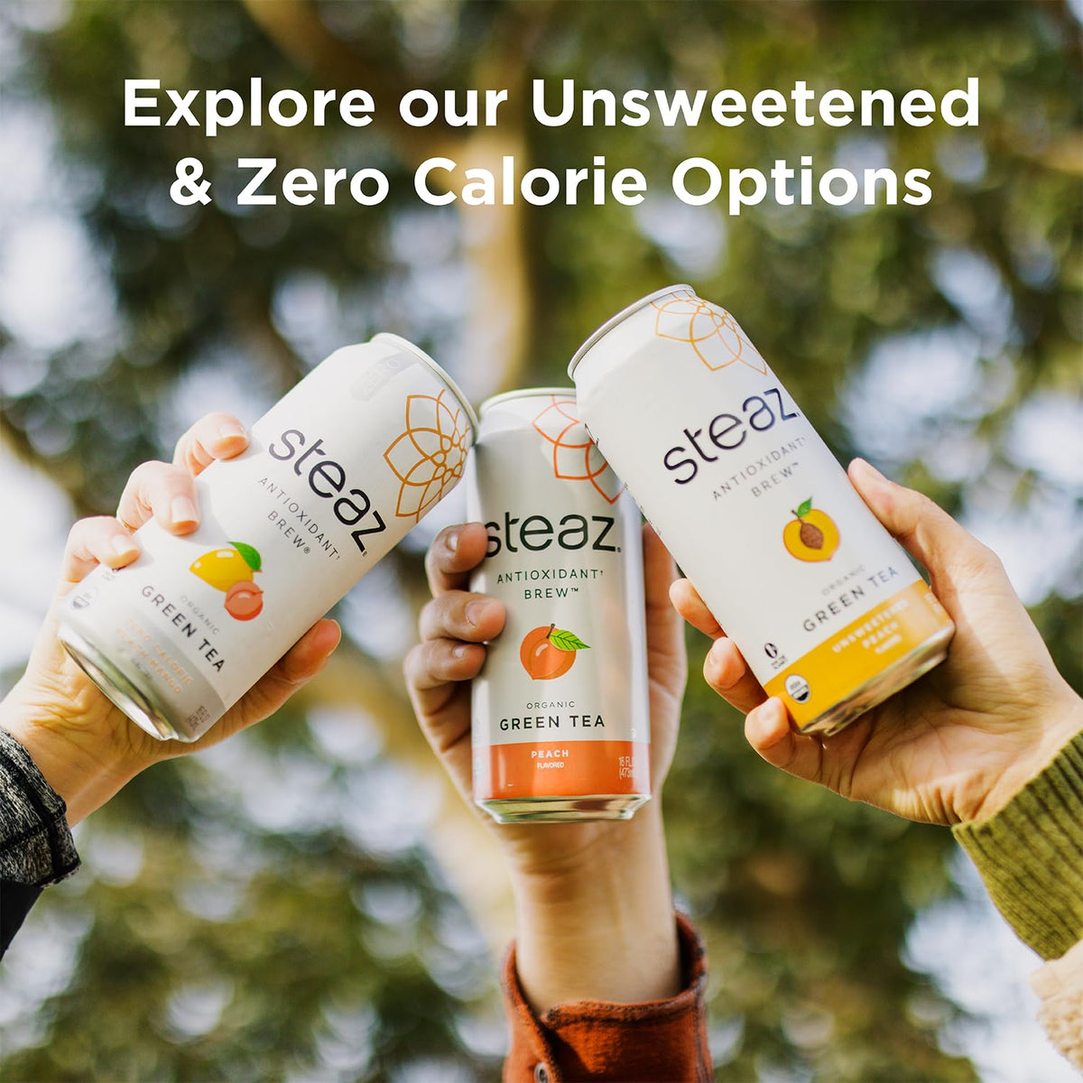 Steaz iced tea served over ice offers a crisp, revitalizing finish.