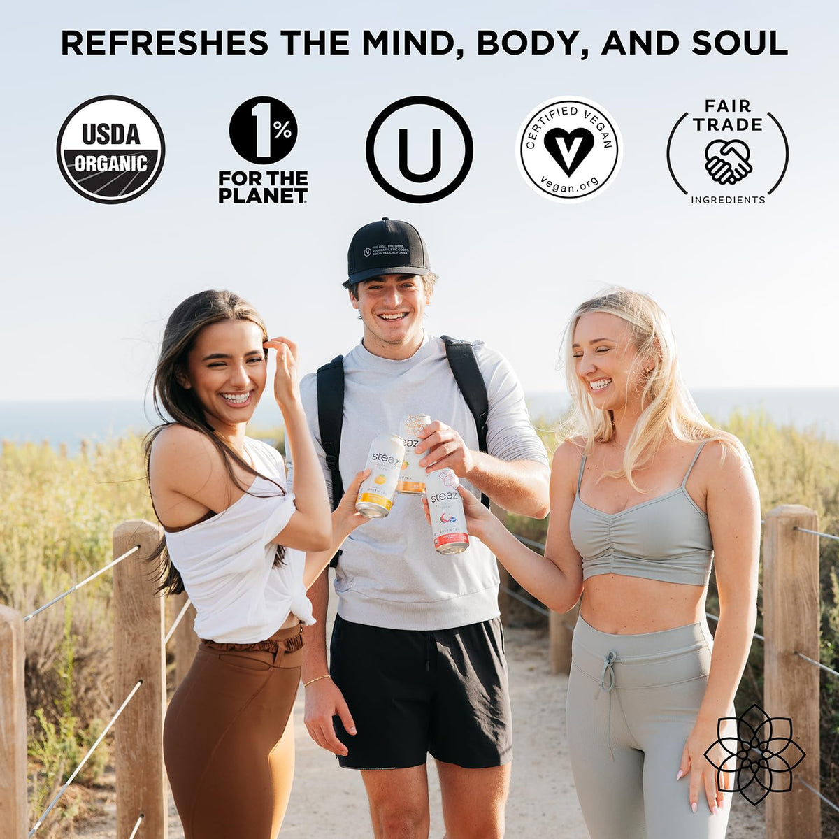 Steaz organic cane sugar sweetened tea can, showcasing natural sweetness and ethical sourcing.
