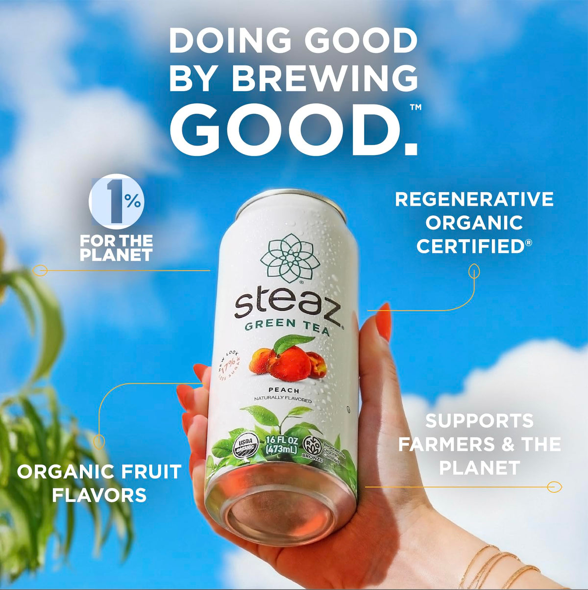 Steaz Organic Green Tea label on bottle emphasizing organic ingredients and regenerative sourcing.