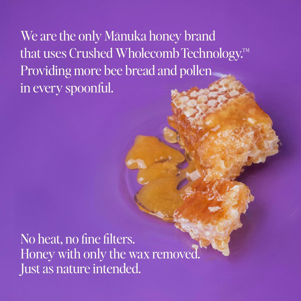 Steens Manuka Honey batch number seal highlighting traceability.