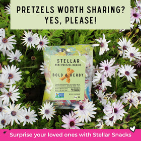 Stellar Snacks Mini Pretzel Braids hero-herby flavor—perfect dipping partner for hummus or mustard.