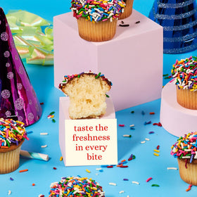 Stern's Bakery individually wrapped cupcakes ensure freshness and secure delivery.