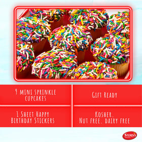 Stern's Bakery mini rainbow sprinkle cupcakes arranged for a festive, shareable treat.
