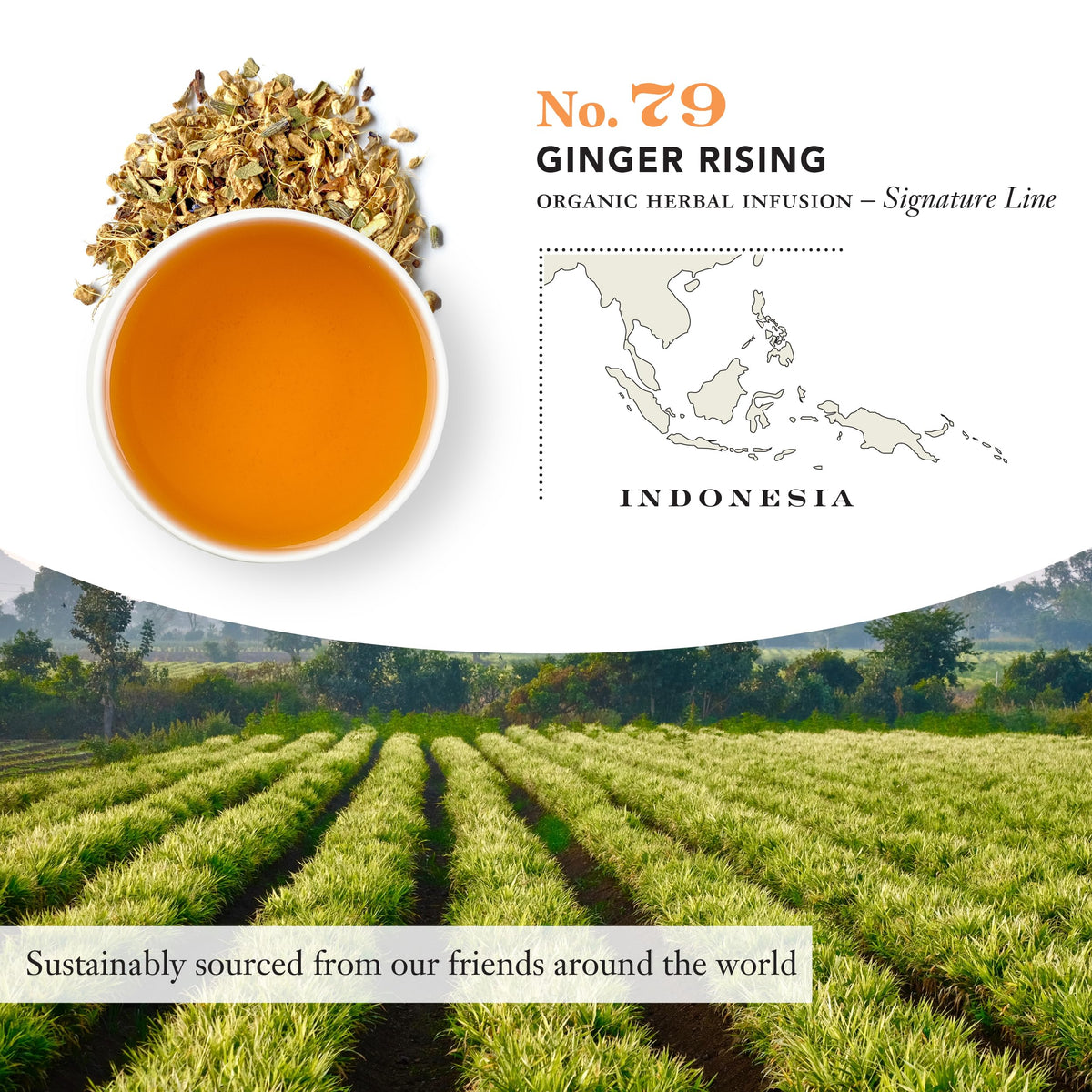 Steven Smith Teamaker Ginger Rising No. 79 infusion with lemon myrtle and lavender notes.