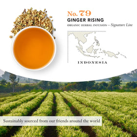 Steven Smith Teamaker Ginger Rising No. 79 infusion with lemon myrtle and lavender notes.