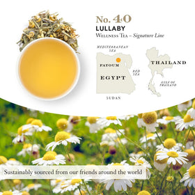 Steven Smith Teamaker Lullaby No. 40 brewed cup showing caffeine-free relaxation