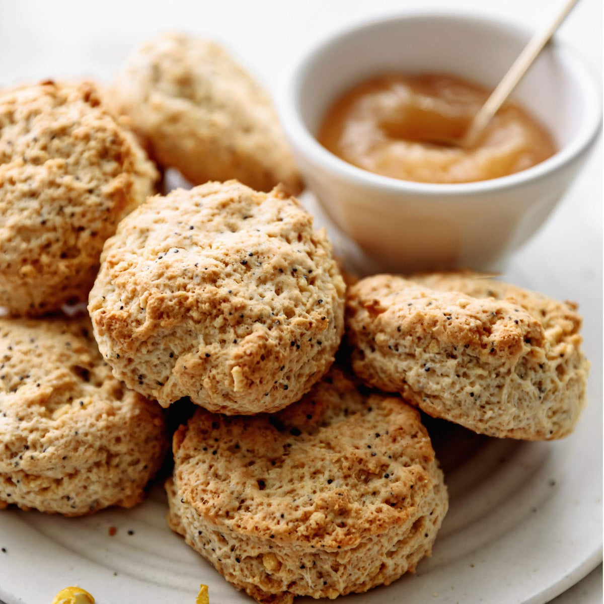 Sticky Fingers Lemon Poppyseed Scone Mix dry ingredients in a bowl ready to combine.