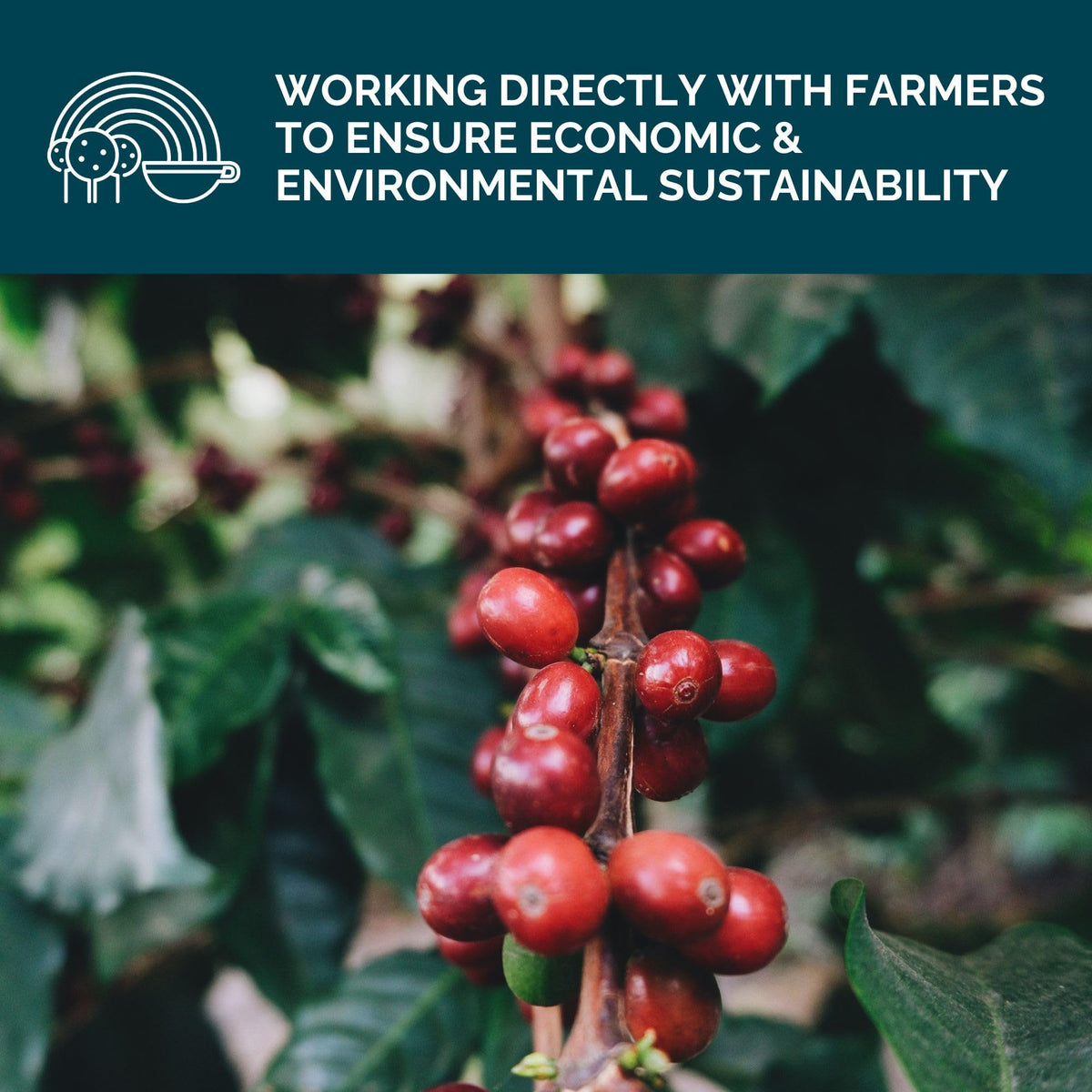 Stone Creek sustainability badge with origin information for responsible sourcing