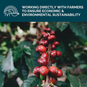 Stone Creek sustainability badge with origin information for responsible sourcing