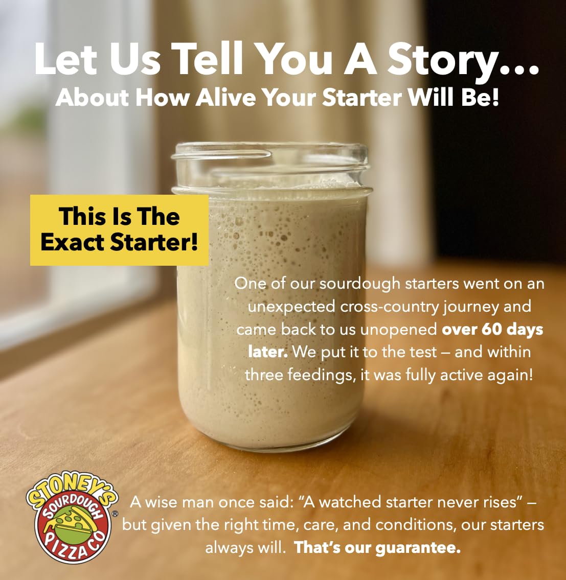 Stoney's Sourdough Starter no-knead recipe image demonstrates foolproof sandwich bread at home.