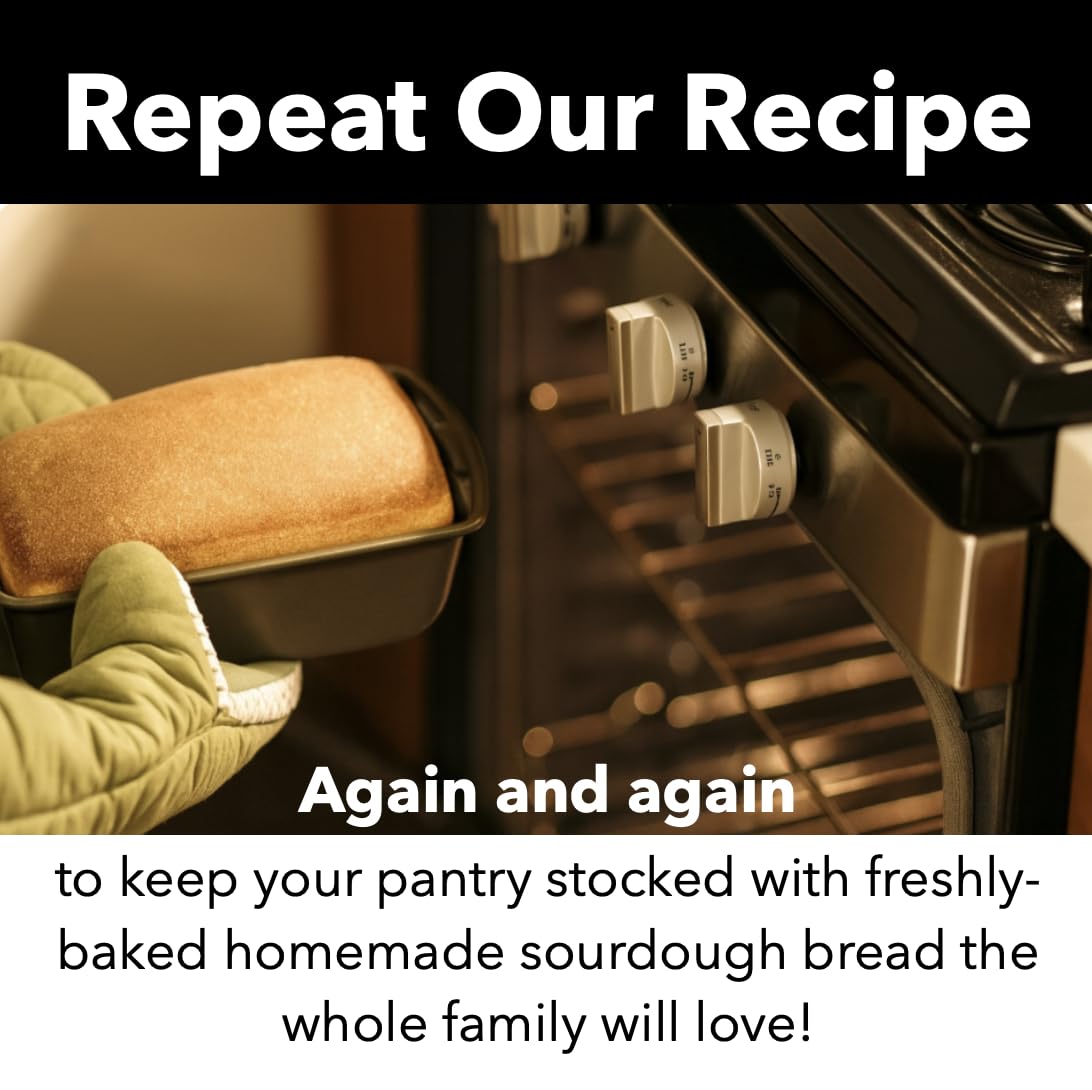 Stoney's Sourdough Starter QR video tutorial provides visual guidance for steps.