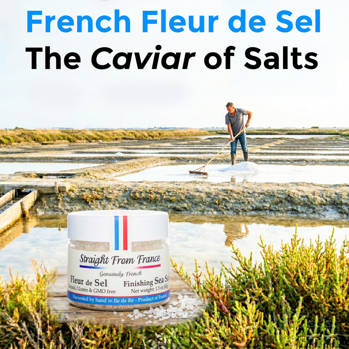 Straight from France Genuinely French fleur de sel glass jar on counter enhances desserts.