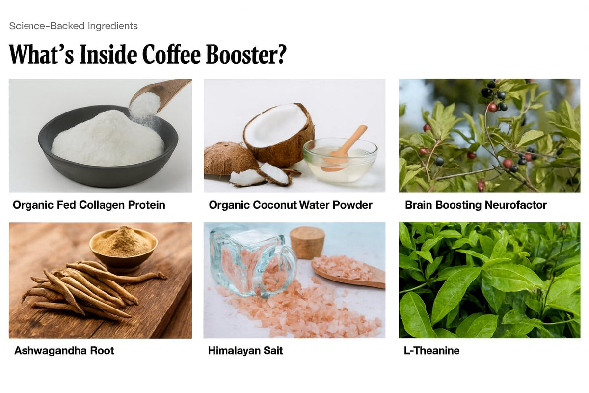STRONG COFFEE CO. Coffee Booster NeuroFactor ingredient detail for focused moments.