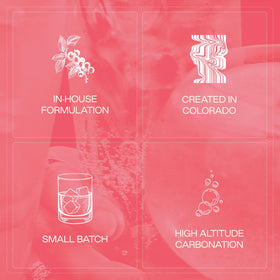 Strongwater Paloma can with citrus and grapefruit notes, alcohol-free option.