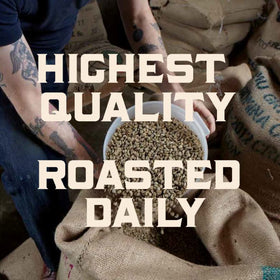 Stumptown Holler Mountain caramel and hazelnut notes enhance daily coffee rituals.