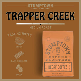 Stumptown Trapper Creek coffee beans close-up highlighting glossy texture and quality.