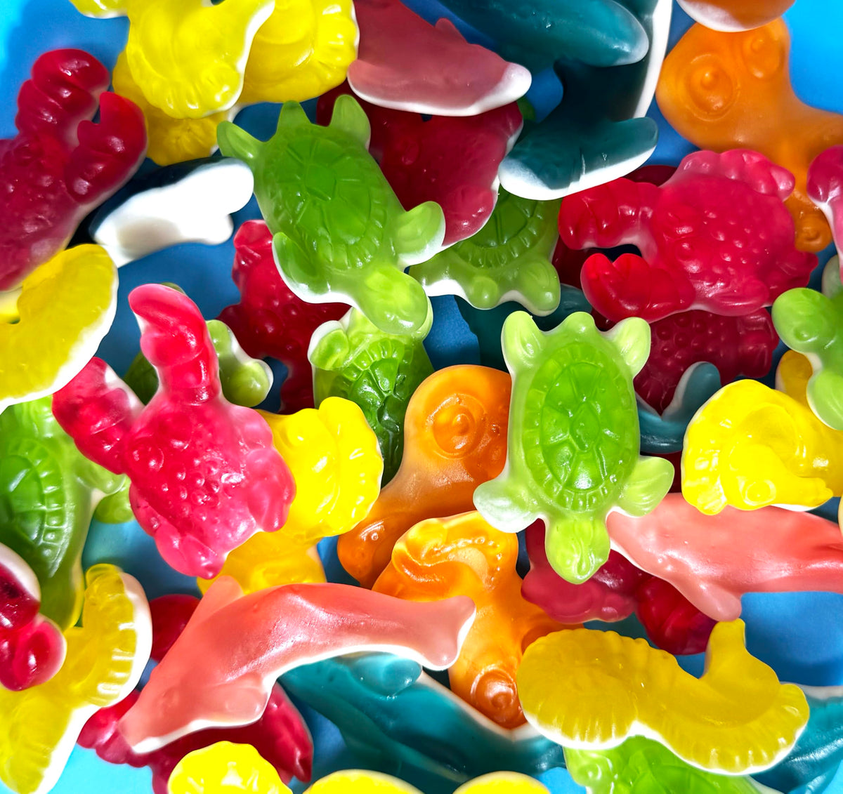 Sugarloo World Ocean Friends assorted fruit flavors appealing to all ages