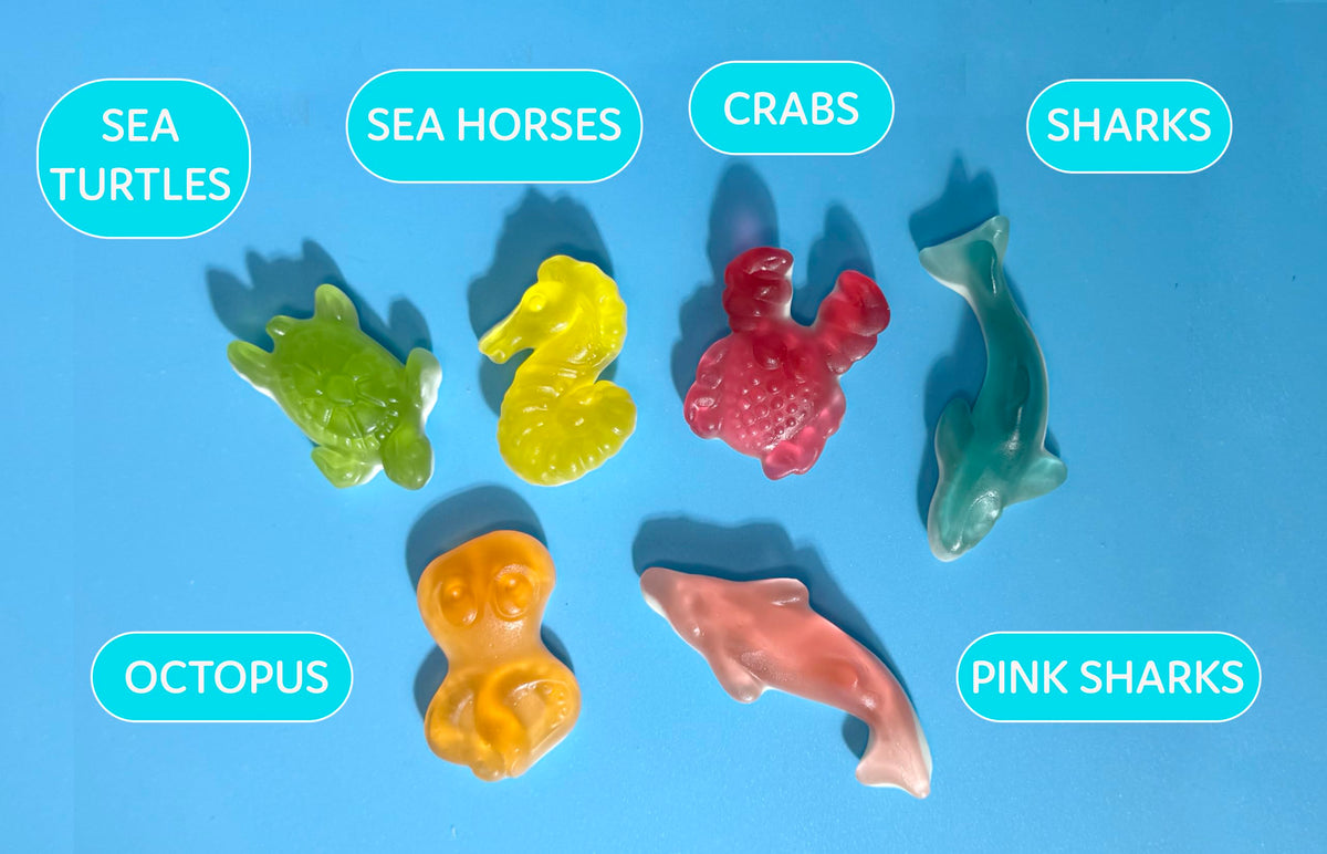 Sugarloo World Ocean Friends sharks and turtles gummies for themed events