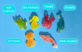Sugarloo World Ocean Friends sharks and turtles gummies for themed events
